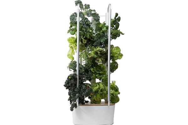 Gardyn Home Smart Hydroponic Herb Garden