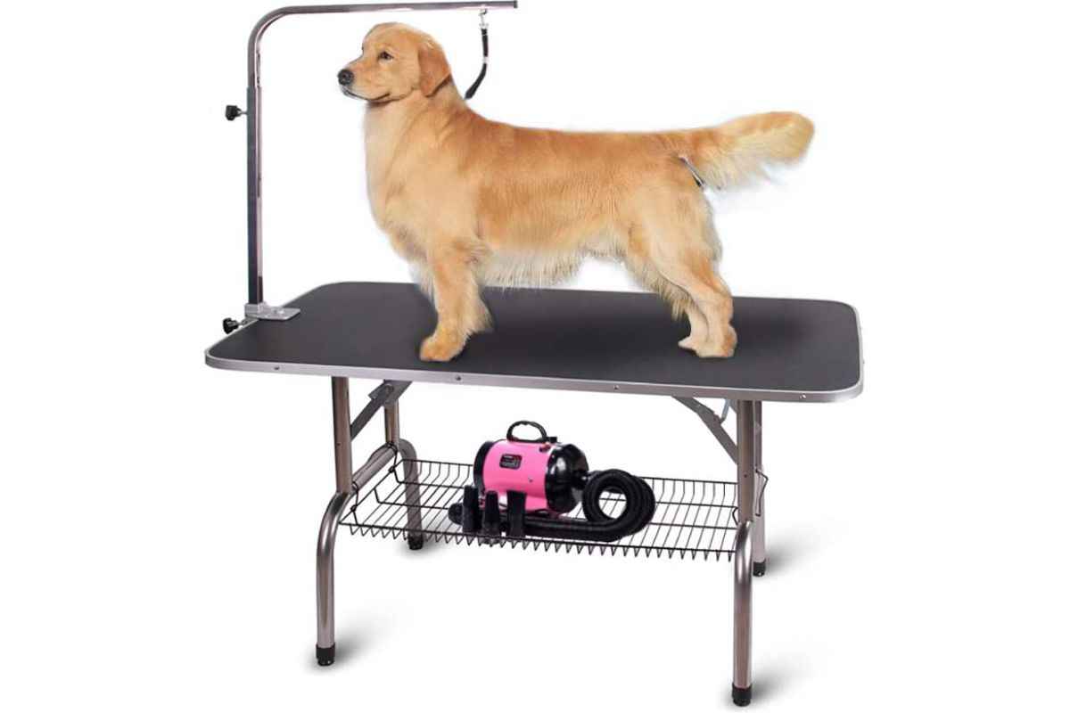 Polar Aurora Pet Grooming Table